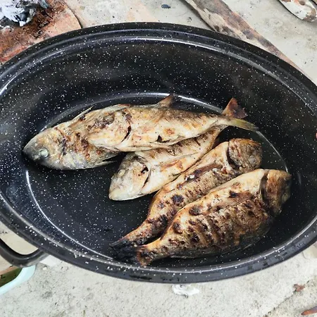 Casa de Férias Tonino House Pag Town